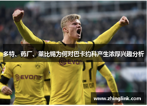 多特、药厂、莱比锡为何对巴卡约科产生浓厚兴趣分析