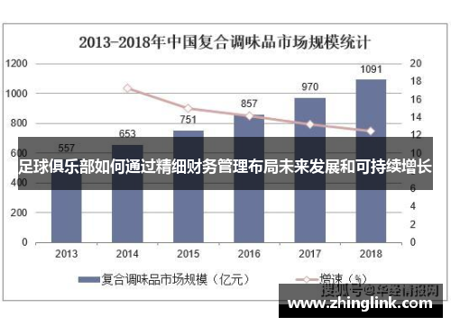 足球俱乐部如何通过精细财务管理布局未来发展和可持续增长